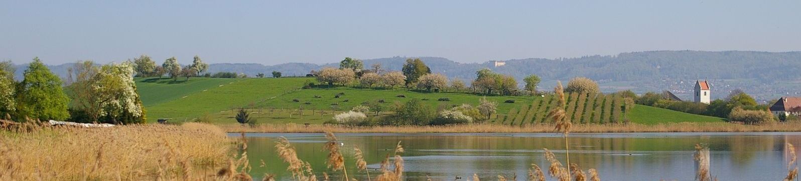 Gemeinde Salem Aktuelles