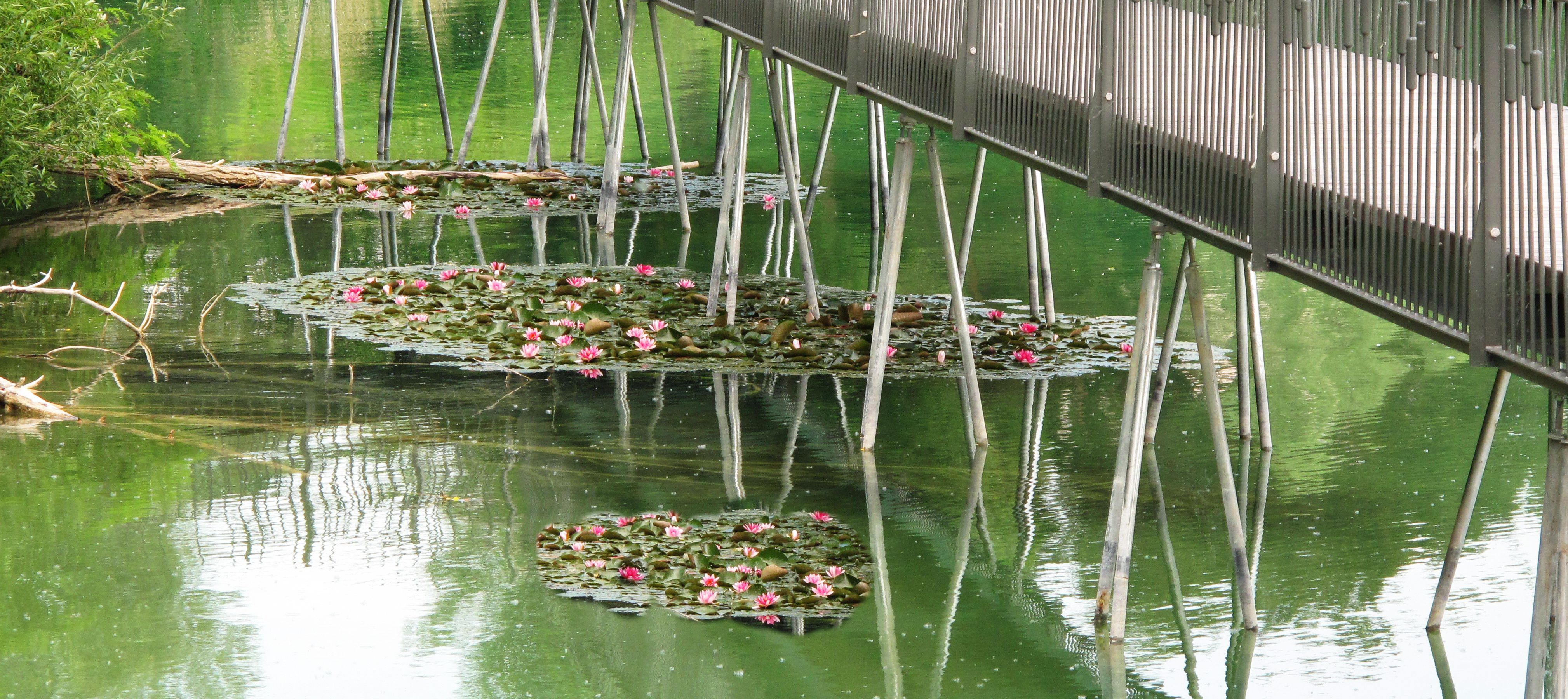 Gemeinde Salem Startseite