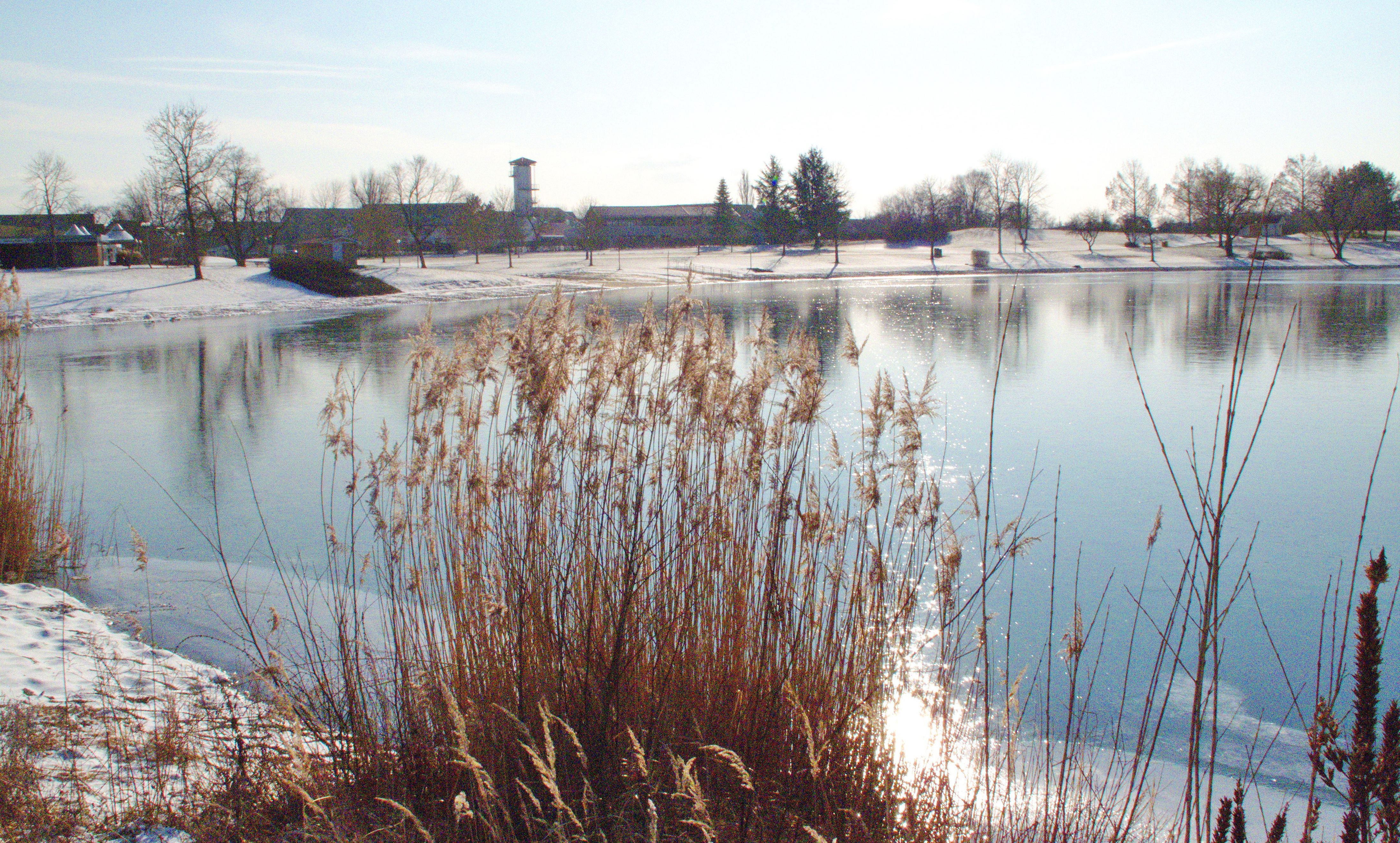 Gemeinde Salem Startseite