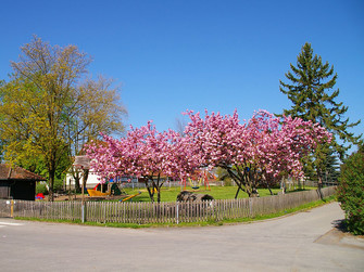 Frühling in Grasbeuren